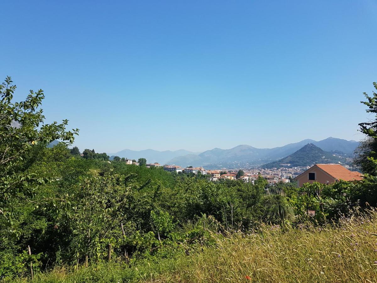 Villa Vicinus - 120 Mq - Parking - Garden Vietri 外观 照片