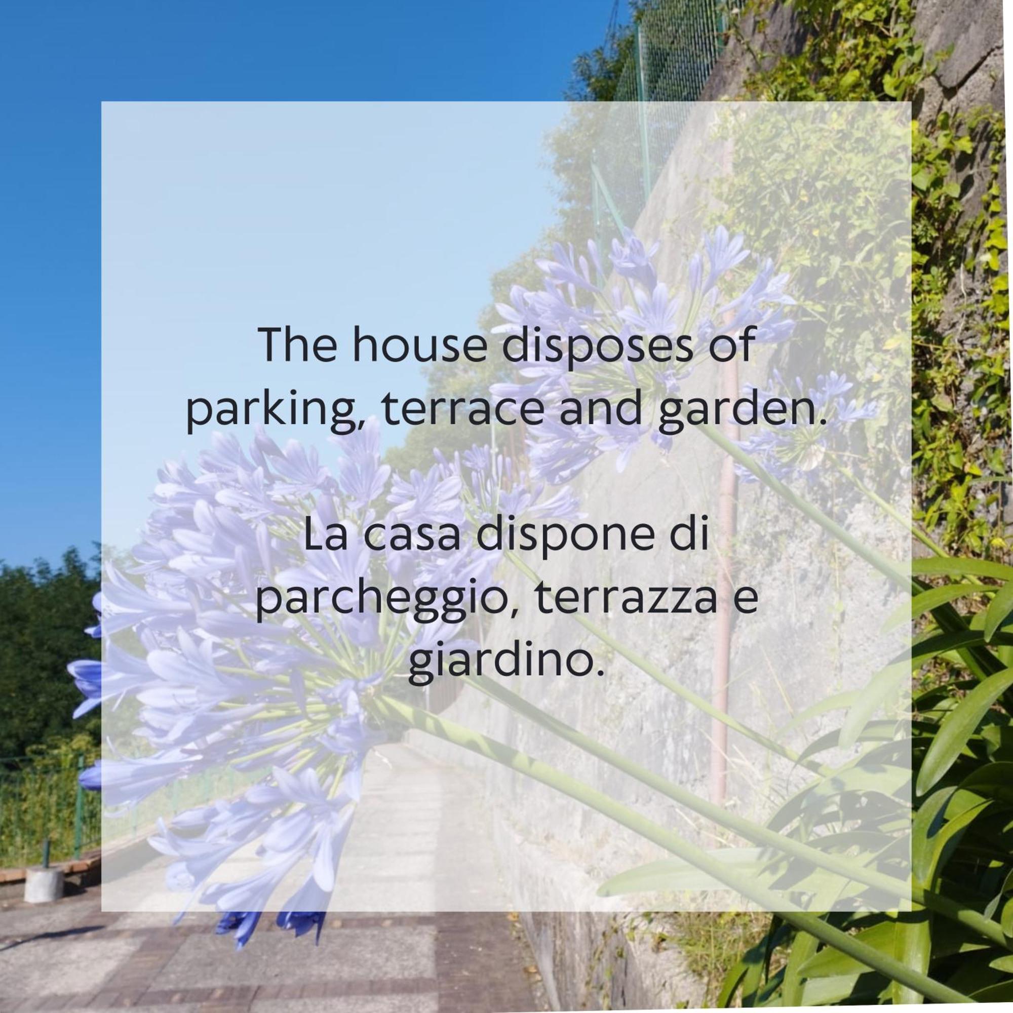 Villa Vicinus - 120 Mq - Parking - Garden Vietri 外观 照片